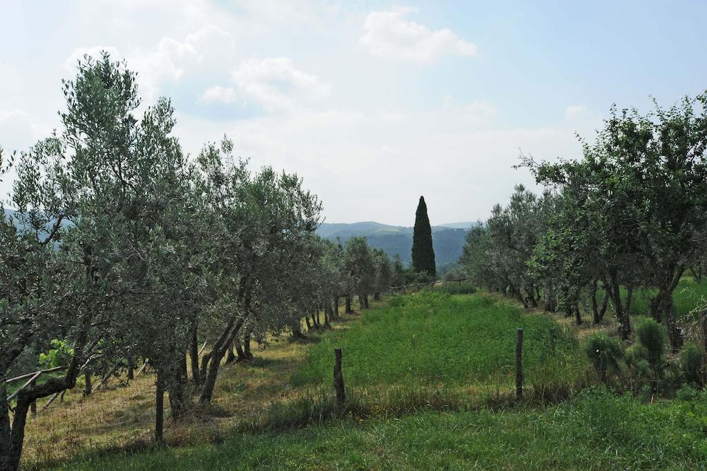 הוילה Borgo Rapale מראה חיצוני תמונה